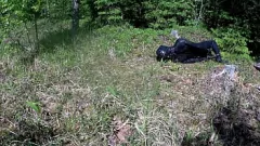 Jouer Bondage all'aperto in una calda giornata estiva: amatoriale incaprettato e imbavagliato nel bosco