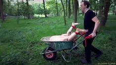 Curvas amarradas e fodidas na floresta